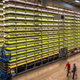 AeroFarms’ facility in Newark, New Jersey